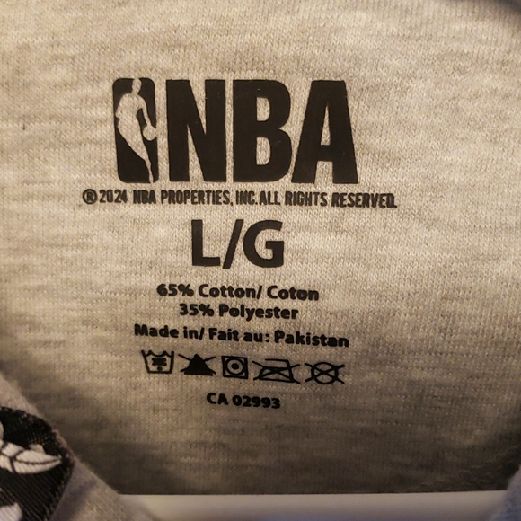 NBA Gray Raptors Hoodie with Logo - Picture 4 of 5